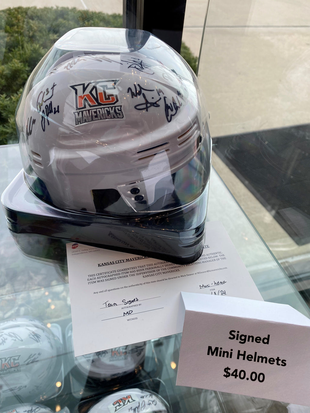 Signed Mini Helmets 2024/2025 (D)