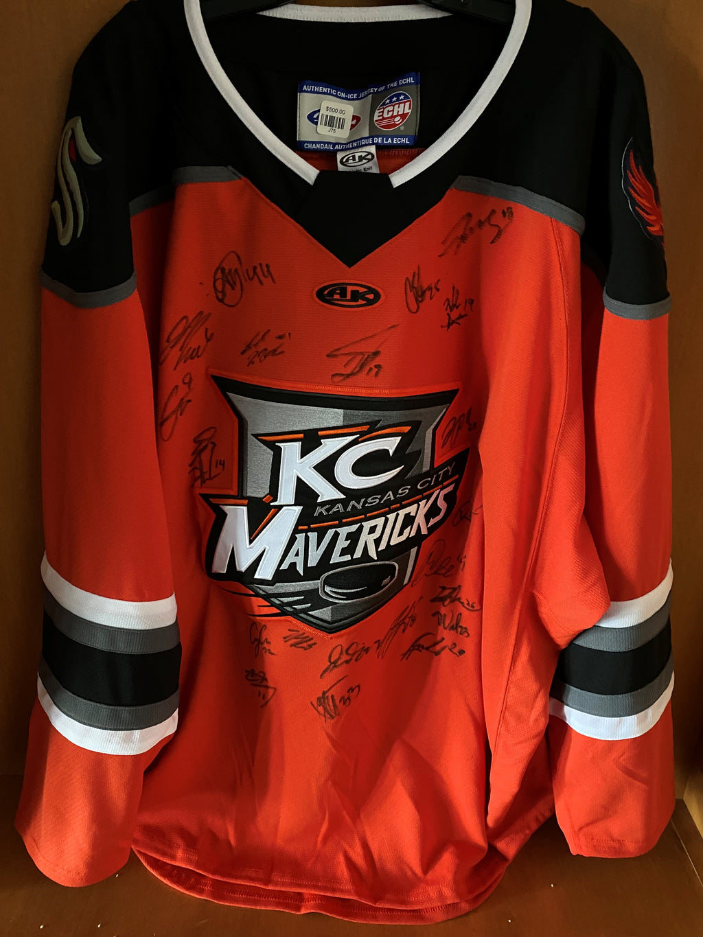 Team Signed Jersey WC